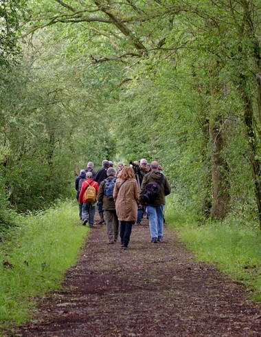 Balade nature avec un groupe d’adultes sur un sentier en  forêt avec Défi nature.