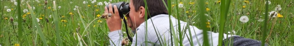 Petit garçon qui observe un élément au loin avec des jumelles en étant allongé sur le ventre dans l'herbe